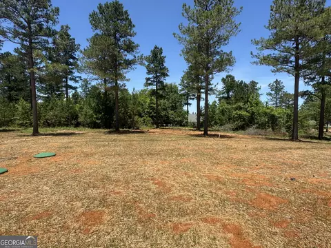 416 Gray Wolf Dr, Macon, GA 31216 photo 31