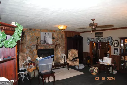 201 Harvey St, Stapleton, GA 30823 photo 9