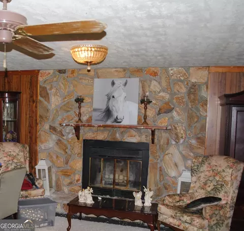 201 Harvey St, Stapleton, GA 30823 photo 10