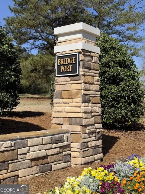331 Bridgemill Ln, Hampton, GA 30228 photo 60