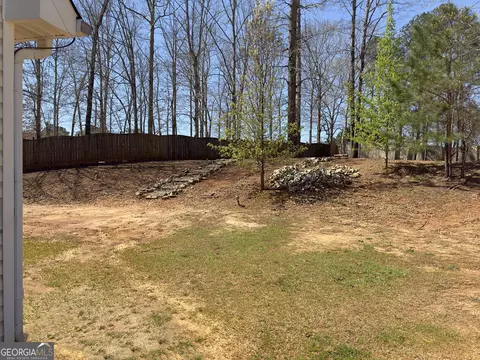 331 Bridgemill Ln, Hampton, GA 30228 photo 49