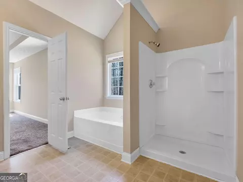 331 Bridgemill Ln, Hampton, GA 30228 photo 39