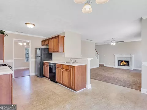 331 Bridgemill Ln, Hampton, GA 30228 photo 17