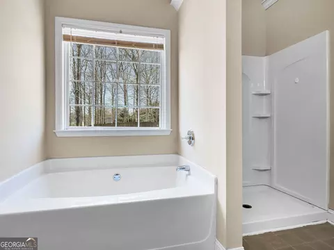 331 Bridgemill Ln, Hampton, GA 30228 photo 42