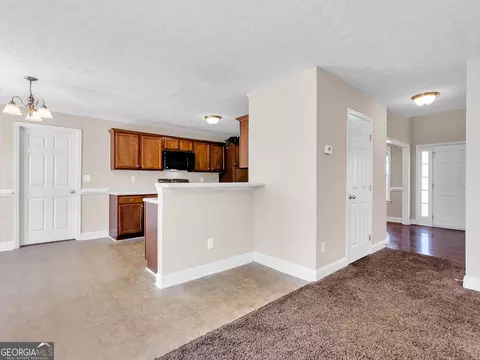 331 Bridgemill Ln, Hampton, GA 30228 photo 18