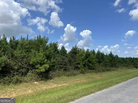 lot8 Whitfield Rd, Elko, GA 31025