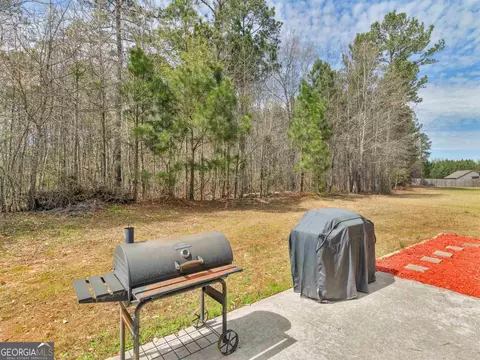 Exterior - 1421 Stone Ridge Ct, Hampton, GA 30228 photo 6 of 6
