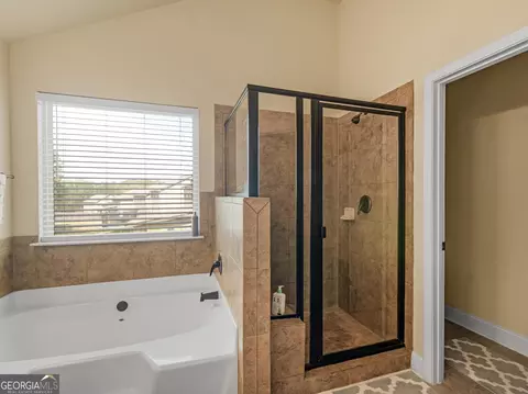 Bath - 1421 Stone Ridge Ct, Hampton, GA 30228 photo 3 of 3