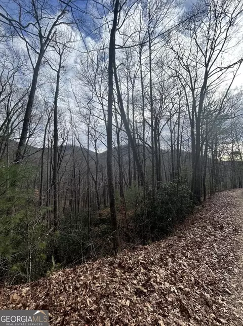 200-298 Evergreen Ln, Sky Valley, GA 30537