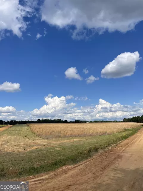 0 Jerrys Rd, Metter, GA 30439