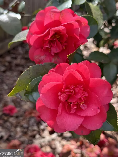 180 Autumn Cv, Covington, GA 30016 photo 63