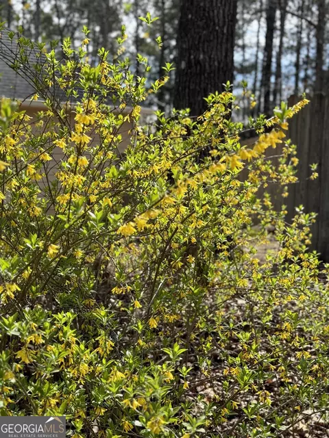 180 Autumn Cv, Covington, GA 30016 photo 68