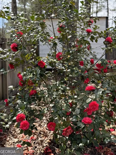 180 Autumn Cv, Covington, GA 30016 photo 62