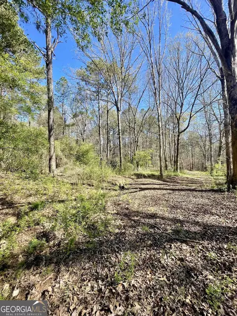 0 Teagle Rd, Jackson, GA 30233 photo 4