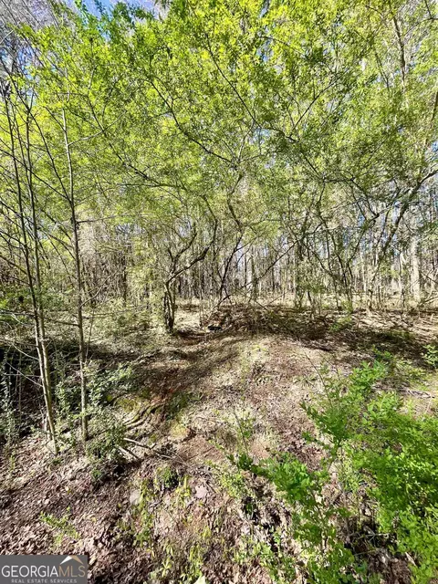 0 Teagle Rd, Jackson, GA 30233 photo 3