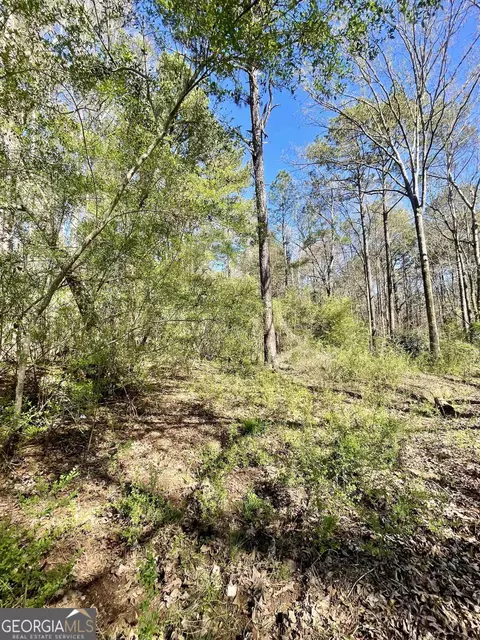 0 Teagle Rd, Jackson, GA 30233 photo 2