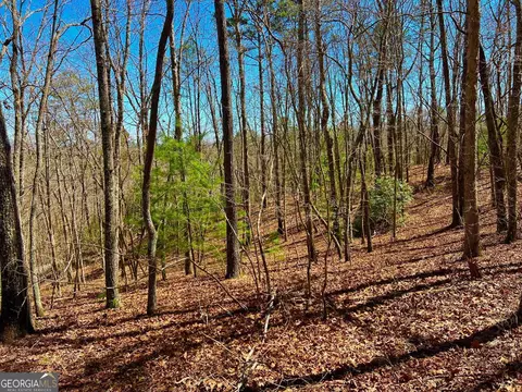 0 Voylestown Rd, Morganton, GA 30560