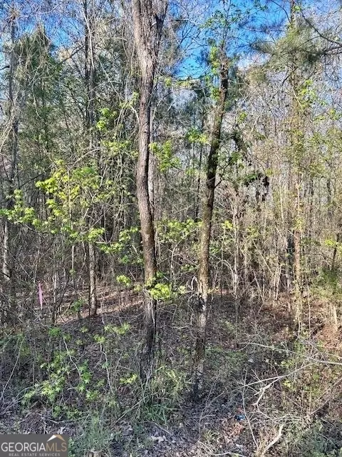 388 Mccommon Rd, Forsyth, GA 31029 photo 10