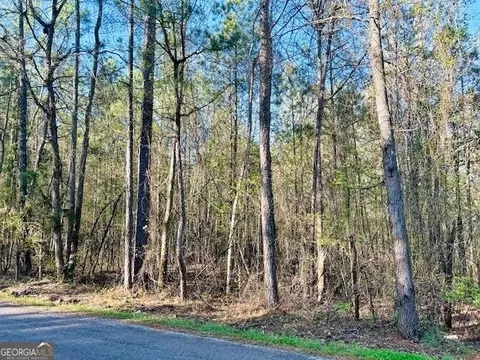 388 Mccommon Rd, Forsyth, GA 31029 photo 9
