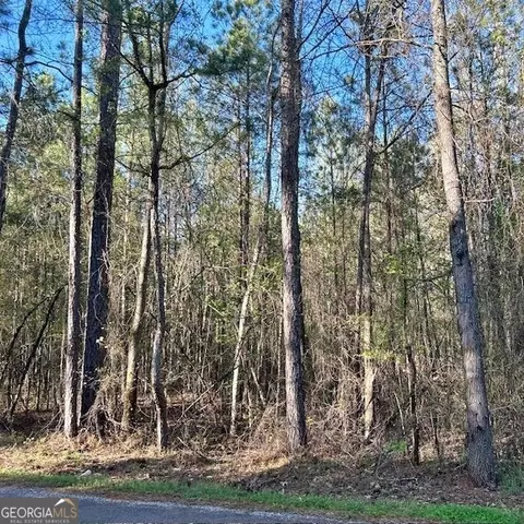388 Mccommon Rd, Forsyth, GA 31029 photo 8