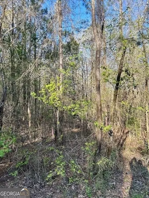388 Mccommon Rd, Forsyth, GA 31029 photo 11