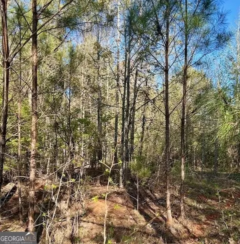 388 Mccommon Rd, Forsyth, GA 31029 photo 5