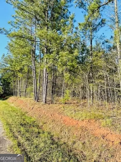 388 Mccommon Rd, Forsyth, GA 31029 photo 3