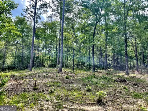 0 Nowell Rd, Macon, GA 31220
