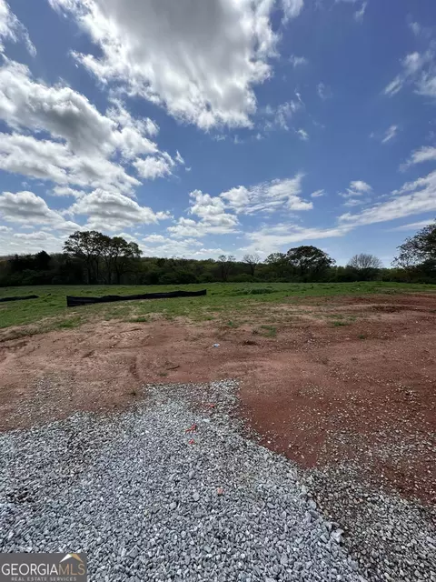 3085 Jackson Bridge Rd, Carnesville, GA 30521 photo 7