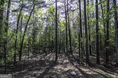 2010 Dixon Rd, Roberta, GA 31078 photo 33