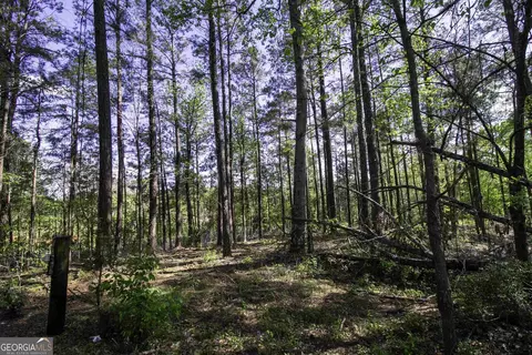2010 Dixon Rd, Roberta, GA 31078 photo 32