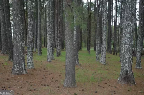 6396 Old West Point Rd, Lagrange, GA 30240 photo 34