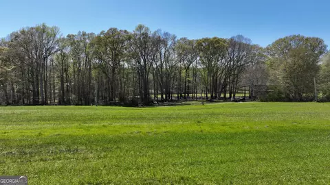 0 Camp Rd, Milner, GA 30257 photo 17