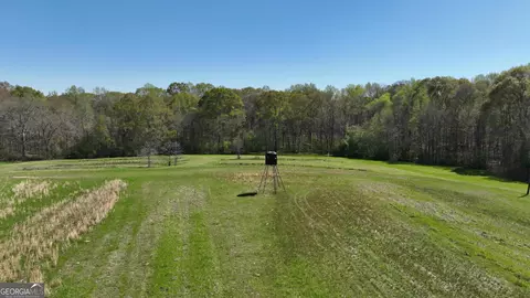 0 Camp Rd, Milner, GA 30257 photo 11
