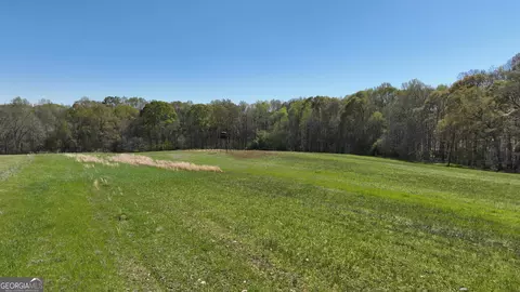 0 Camp Rd, Milner, GA 30257 photo 20
