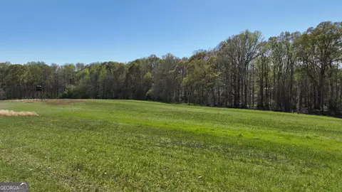 0 Camp Rd, Milner, GA 30257 photo 19