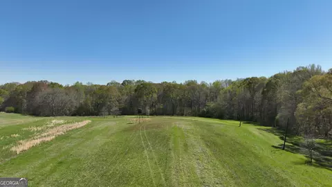 0 Camp Rd, Milner, GA 30257 photo 13