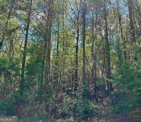 3 Alexander Way, Fort Valley, GA 31030