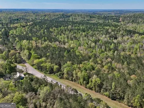 0 Highway 80, Dry Branch, GA 31020