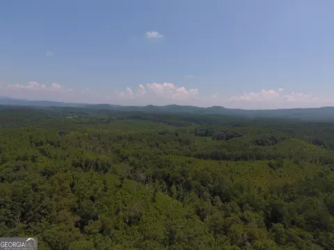 0 Pack Rd NE #9628-E, Ranger, GA 30734 photo 20
