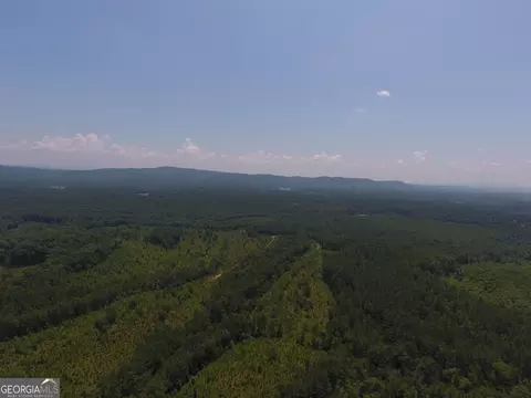 0 Pack Rd NE #9628-E, Ranger, GA 30734 photo 28