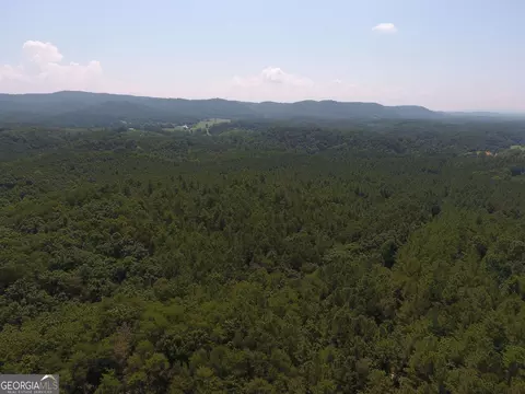 0 Pack Rd NE #9628-E, Ranger, GA 30734 photo 10