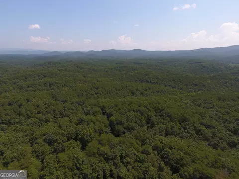 0 Pack Rd NE #9628-E, Ranger, GA 30734 photo 11