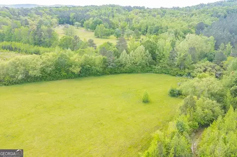 0 Dotson Shields Rd, Lafayette, GA 30728 photo 9