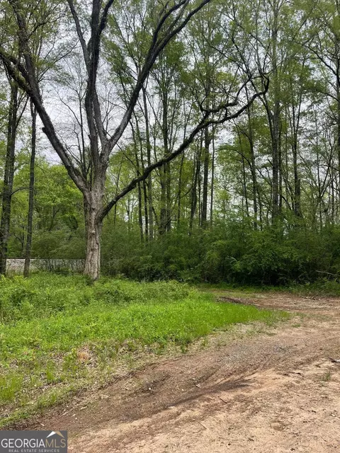 0 Berner Loop, Forsyth, GA 31029 photo 3