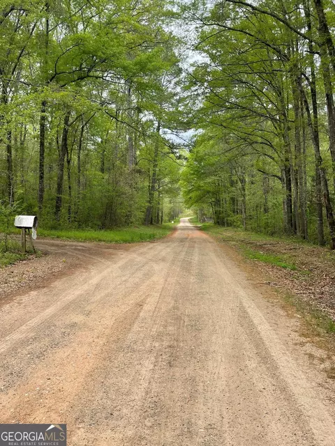 0 Berner Loop, Forsyth, GA 31029 photo 5