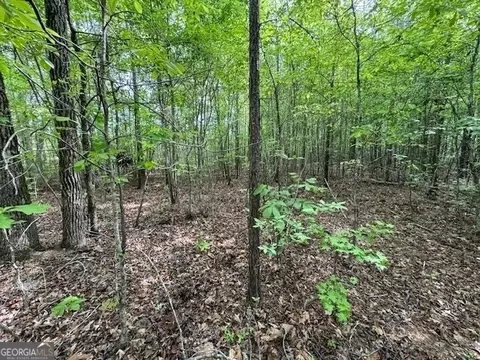 358 Mccommon Rd, Forsyth, GA 31029 photo 7