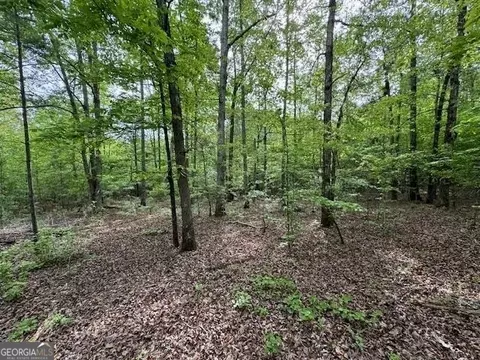 358 Mccommon Rd, Forsyth, GA 31029 photo 4