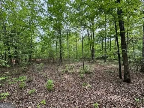 358 Mccommon Rd, Forsyth, GA 31029 photo 3