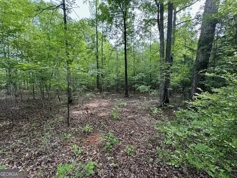 358 Mccommon Rd, Forsyth, GA 31029 photo 5